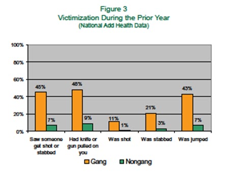 youth gang violence essays youth gang violence essays