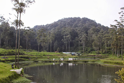 Bumi Perkemahan Ranca Upas Bandung Bumi Perkemahan Ranca Upas Bandung