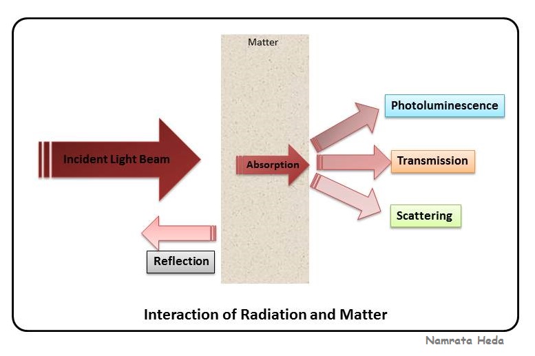 B for Biology June 2013