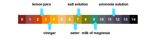 Acids And Bases Lemon Juice And Toothpaste May 2013