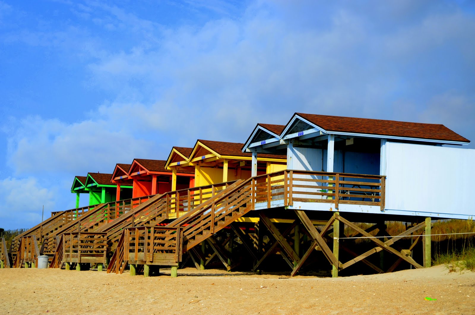 QuiltinCats New Garden Quilt Top (Branson, MO)