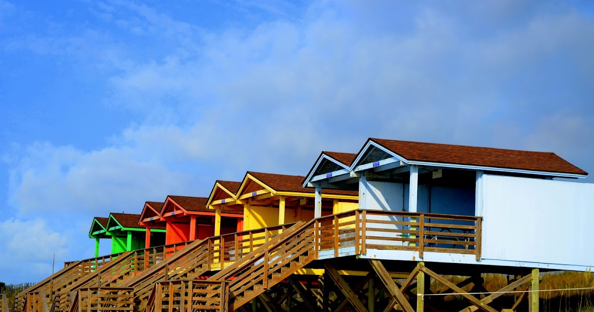 QuiltinCats New Garden Quilt Top (Branson, MO)