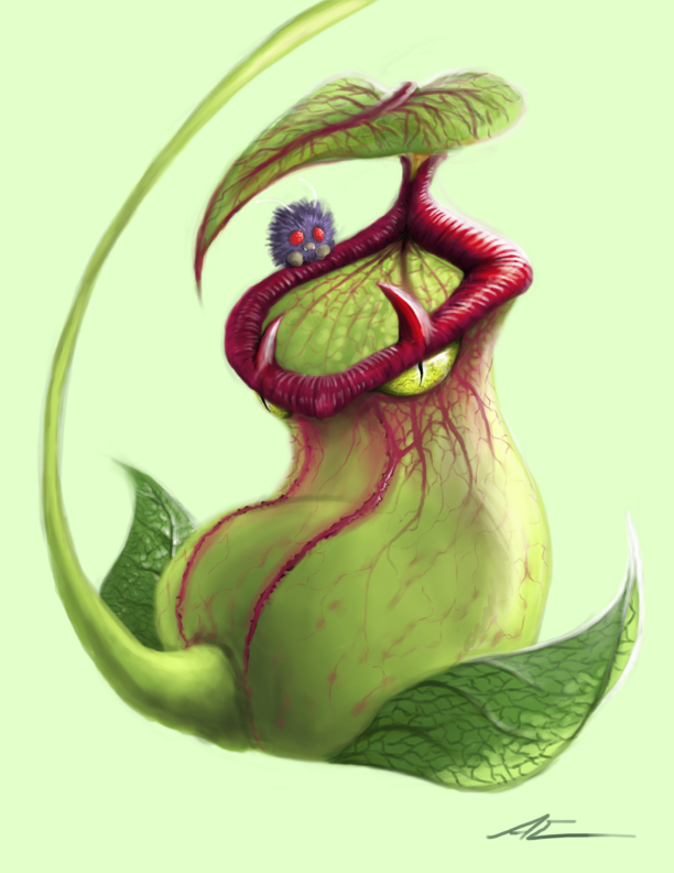 VictreebelRedesign_Final.jpg