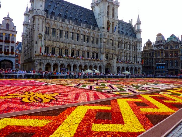 Dywan kwiatowy 2012 w Brukseli na Grand Place Bruksela Kwiaty 2012