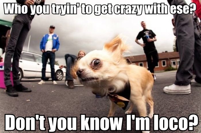 Insane to the membrane song picture