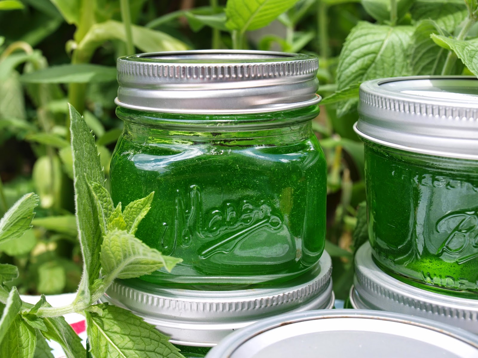 Ohio Thoughts Mint Jelly