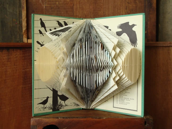 Incredible Art Made Of Papers