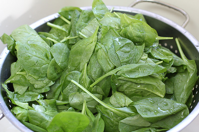 Salvation Sisters Wilted Spinach