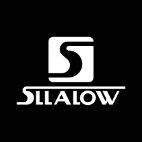 Sllalow Surf Skate