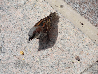 Totally expected bird!