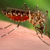 Suspeitas de dengue aumentam 279% de janeiro a março