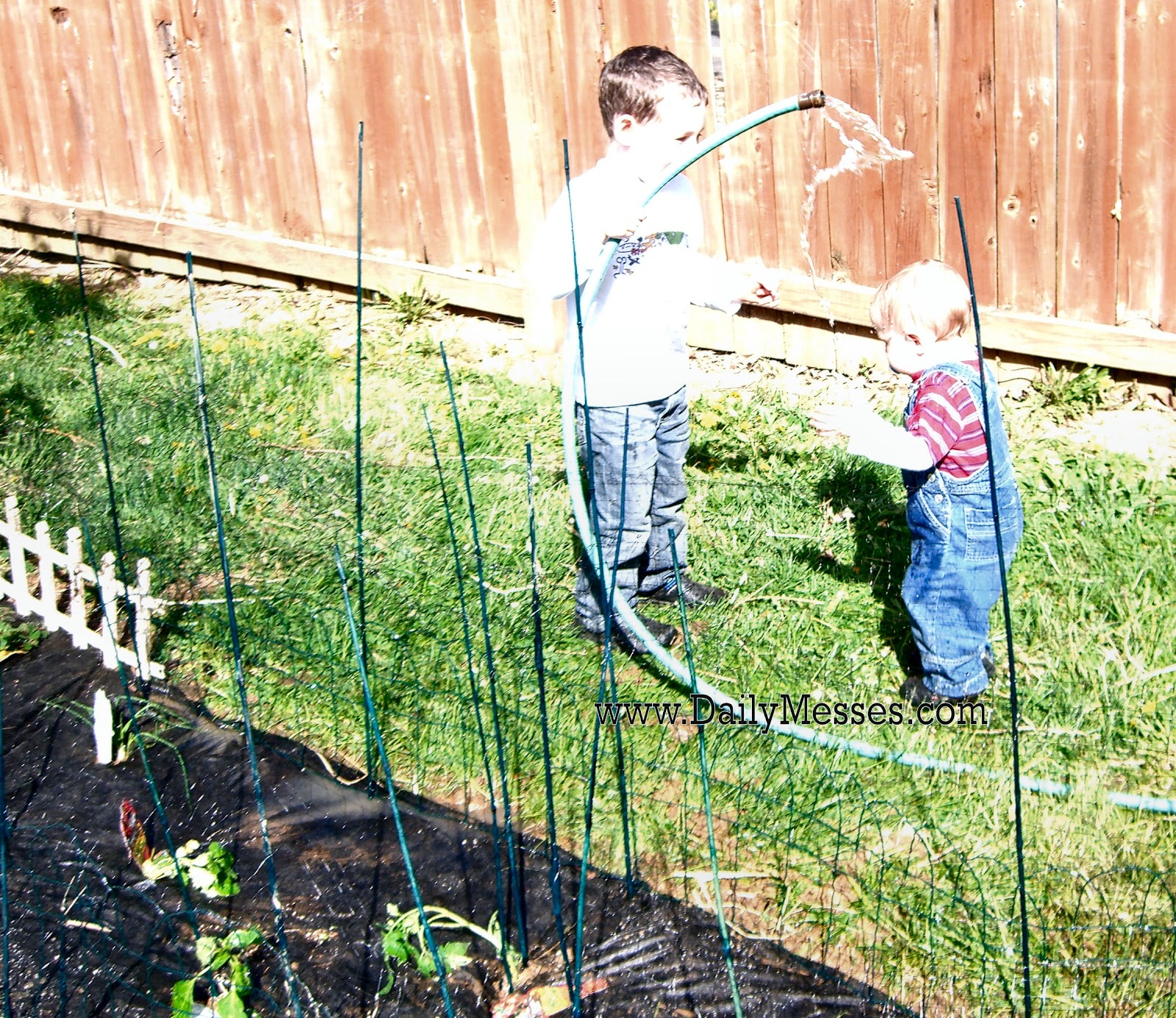 Daily Messes: Easy Outside Summer Fun