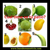  Dinos cual de estas frutas o víveres tienes en tu patio?