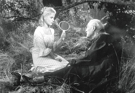 wild strawberries