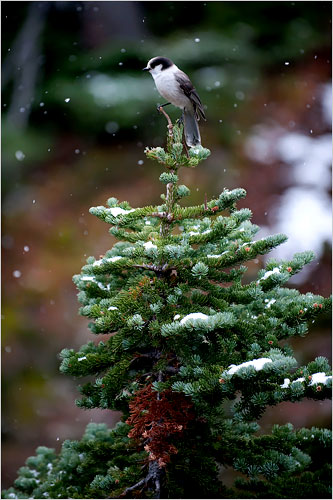 [Image: mua%2Bthu%2Bnuoc%2BMy%2B10.JPG]