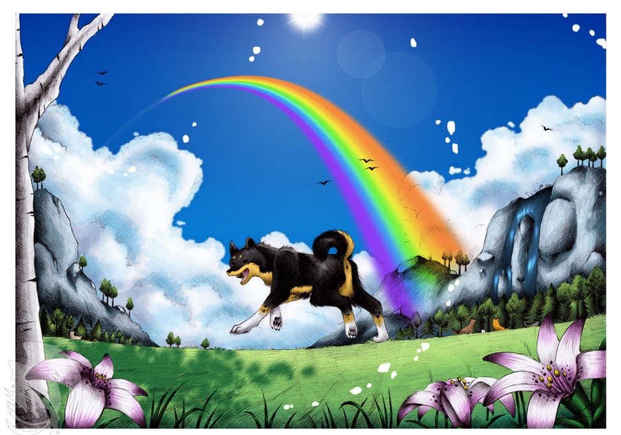 The Teacher's Pets What Does Rainbow Bridge Mean To You & Your Pets?