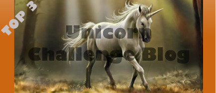 Unicorn Challenge Blog