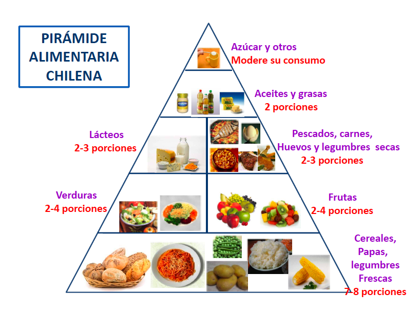 Piramide alimenticia