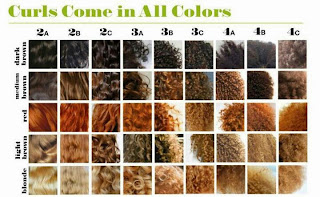 Natural Hair Types Chart