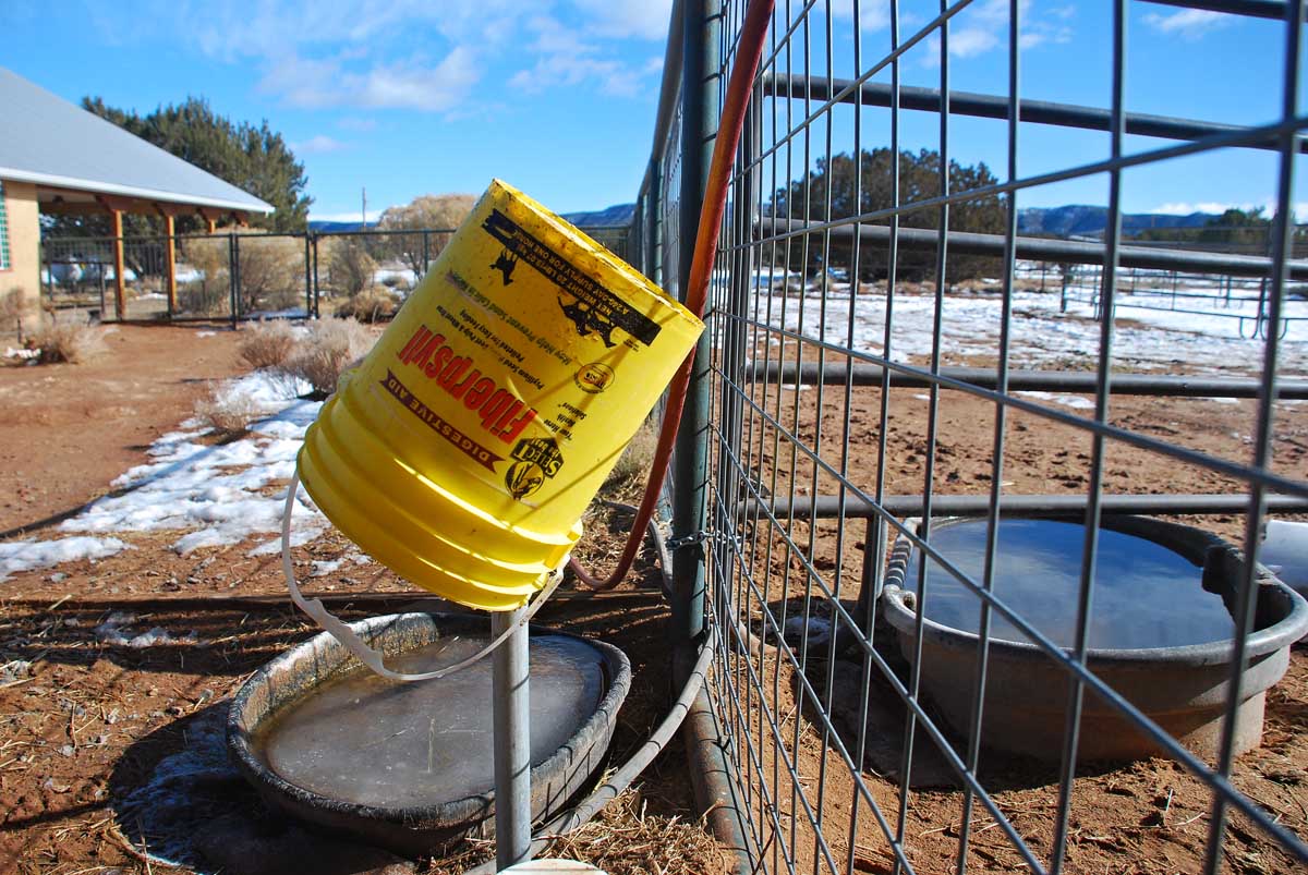 The 7MSN Ranch The art and science of watering livestock in winter