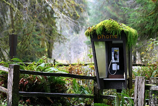 Rain wallpapers, images, pictures Rain wallpapers, images, pictures