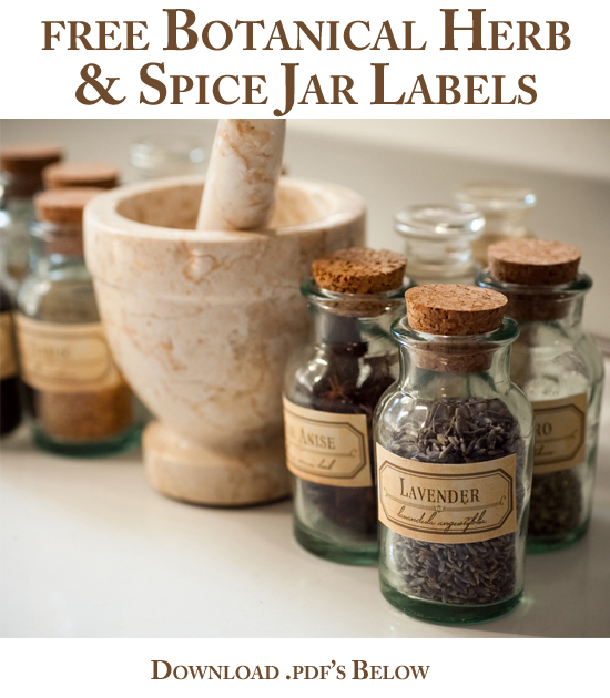For Strange Women DIY Spice Jar Labels A free download to transform