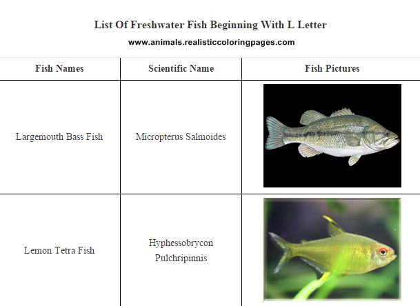 List of freshwater fish beginning with L List of freshwater fish beginning with L