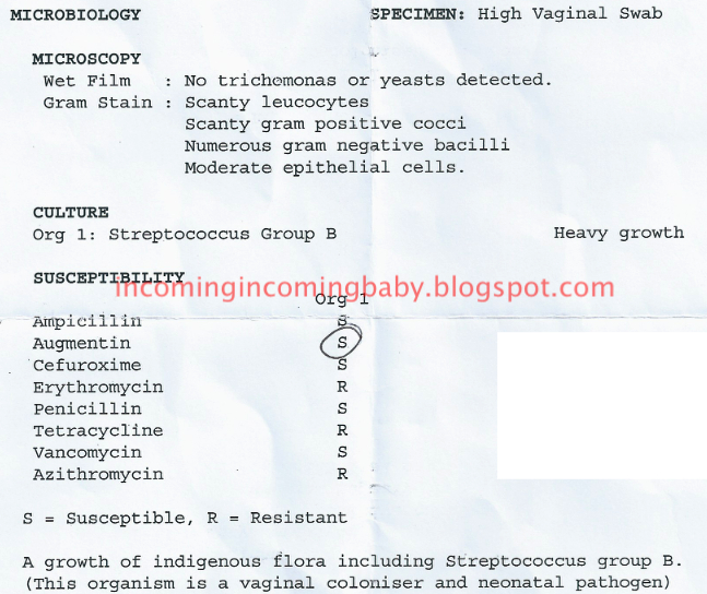How Do They Do Gbs Swab at Teresa Evans blog
