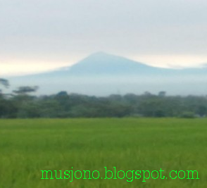 GUNUNG MERAPI MIRING DI KIRI