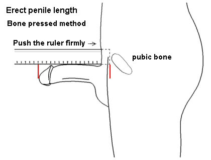 masturbate first time measure penis site
