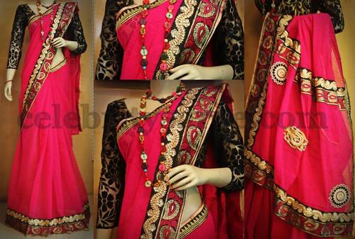Chiffon Sari with Velvet Blouse