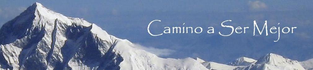 Camino a ser mejor: la creatividad desde el punto de vista ... Del creativo camino