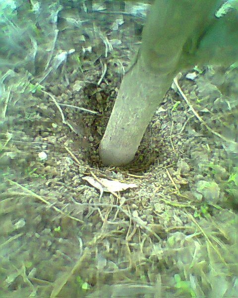 Monografia agronomia