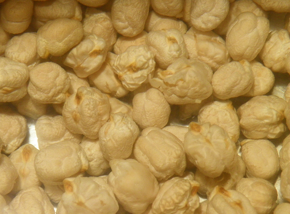 Seasonal Eating Cooking Dried Garbanzo (and other) Beans
