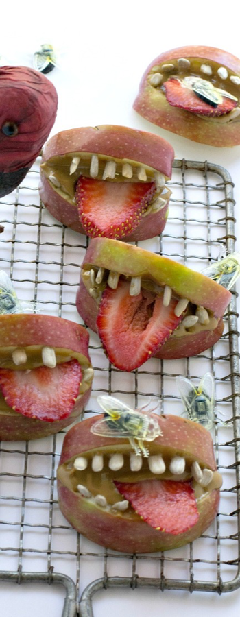 Apple Sunbutter Teeth Bites via Fork&Beans Blog