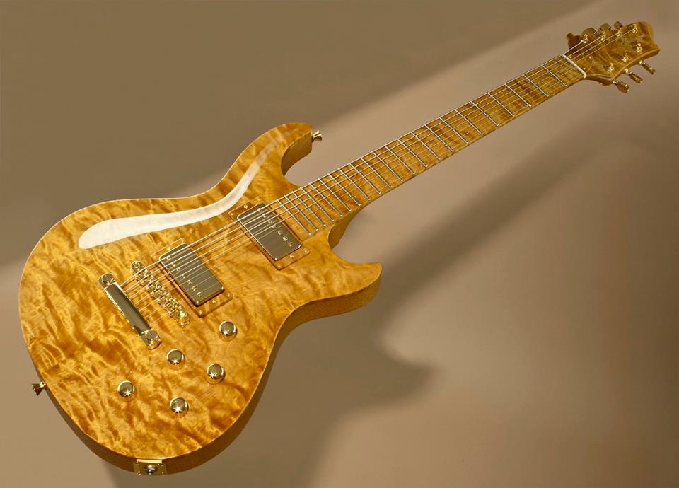 NAME THAT WOOD! Stratocaster Guitar Culture Stratoblogster