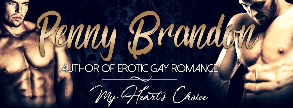 Penny Brandon Gay Romance Author