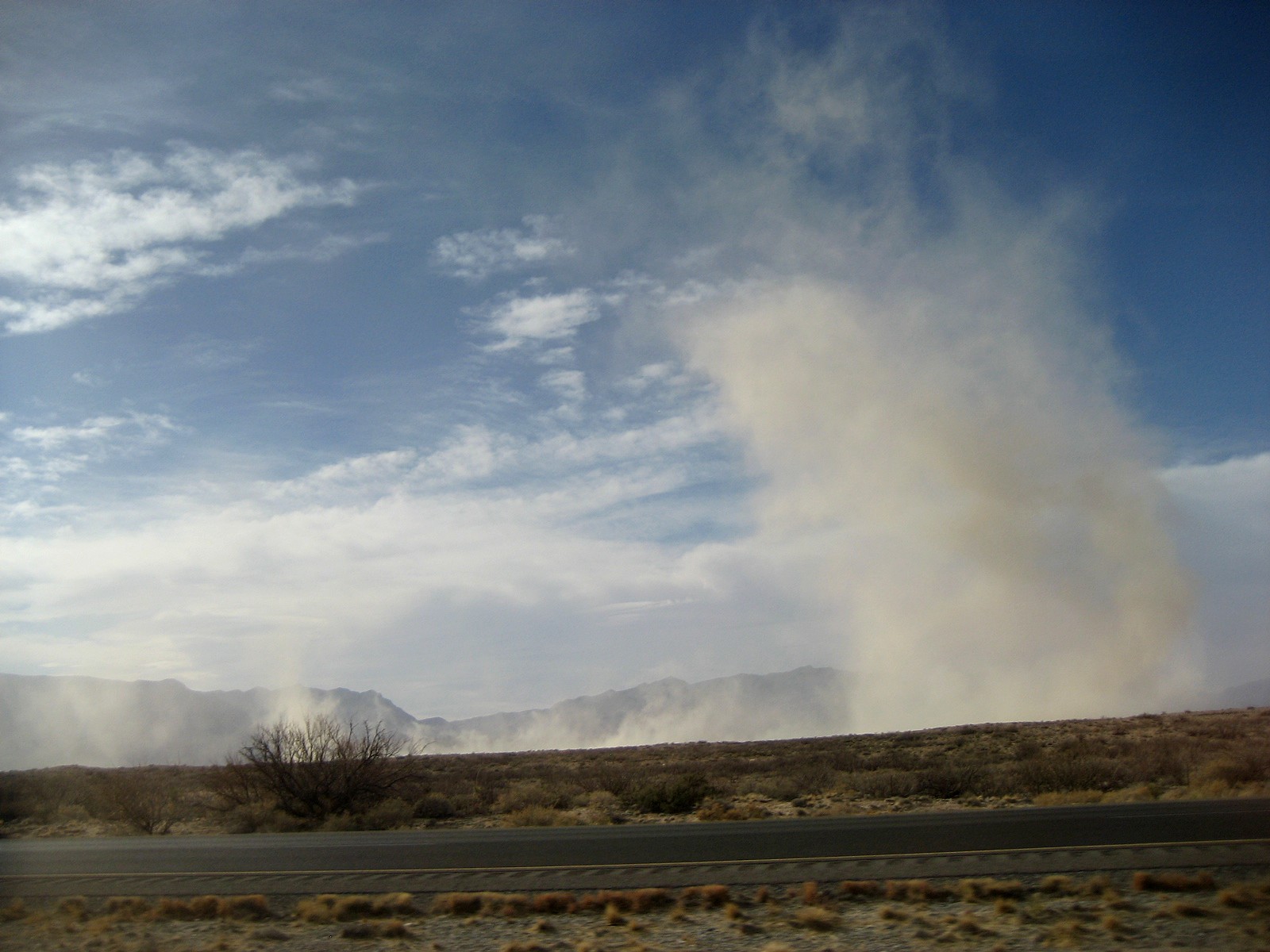 Living Rootless New Mexico The Windy Season
