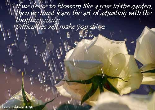 Challenge quotes Challenge Image Quotes And Sayings