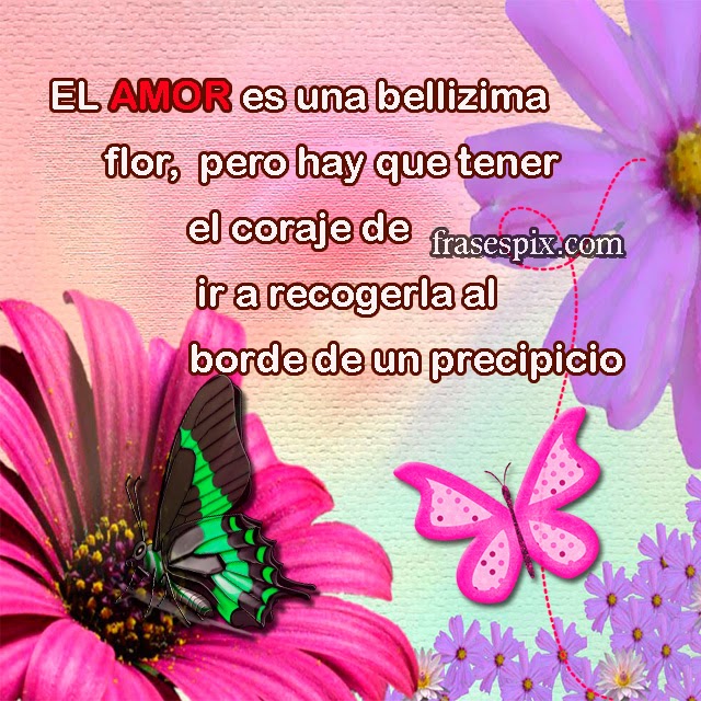 El amor es una bellizima flor, pero hay que tener el coraje de ir a recogerla al borde de un precipicio. fondo de flores