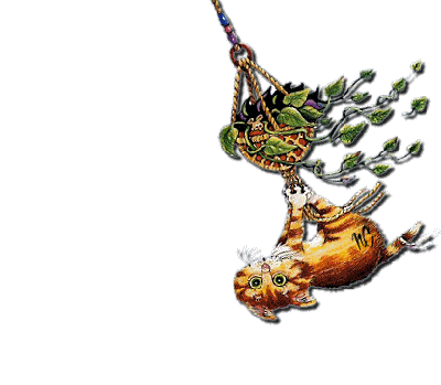 Drennan Blog Cats And Chandeliers