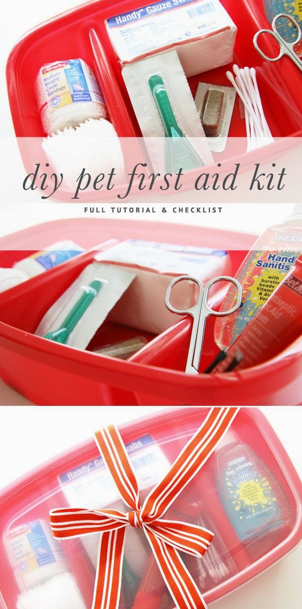 DIY And Crafts DIY Pet First Aid Kit DIY Doggie At Home Medical Kit