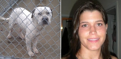 O pitbull foi adotado pela veterinária Stephanie Fryns (à direita): 'Ele é muito amável'