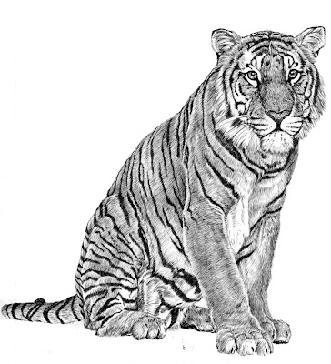 free designs tiger tattoo