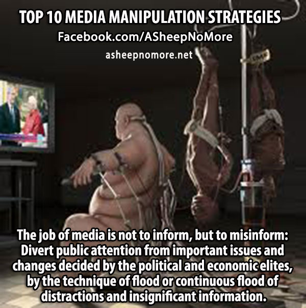 Media Manipulation And The Media