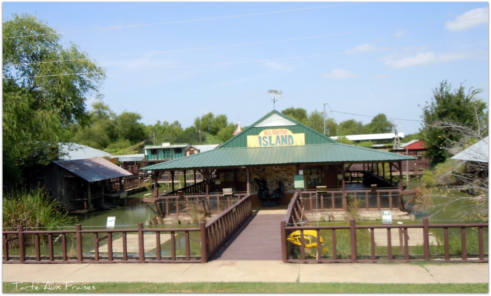 Tarte Aux Fraises Bayou Pierre Alligator Park Louisiana