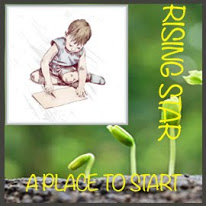 Rising Star A place To Stars: Mini Album - Banner "Heart"
