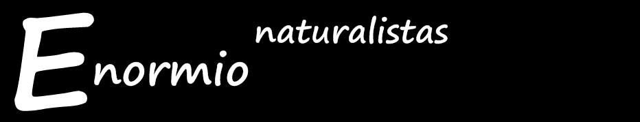 ENORMIO Naturalistas