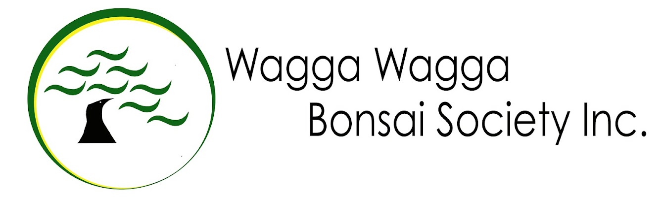 Wagga Wagga Bonsai Society