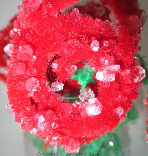 How to Grow Crystals Growing A Jeweled Rose